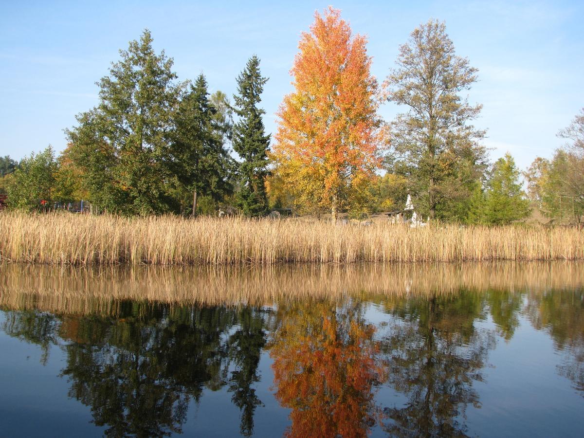 Rezydencja Nad Jeziorem Pestkownica Buitenkant foto