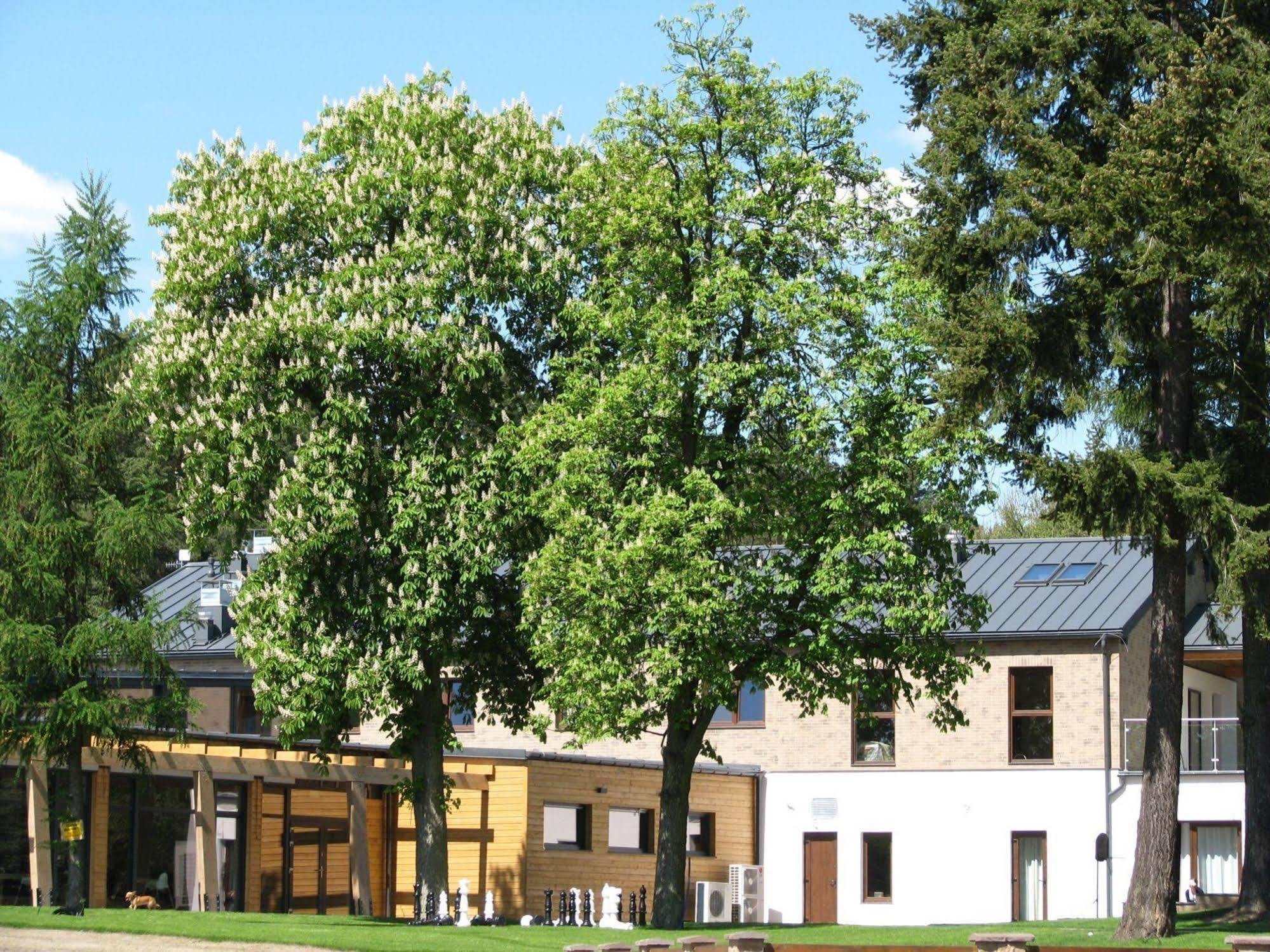 Rezydencja Nad Jeziorem Pestkownica Buitenkant foto
