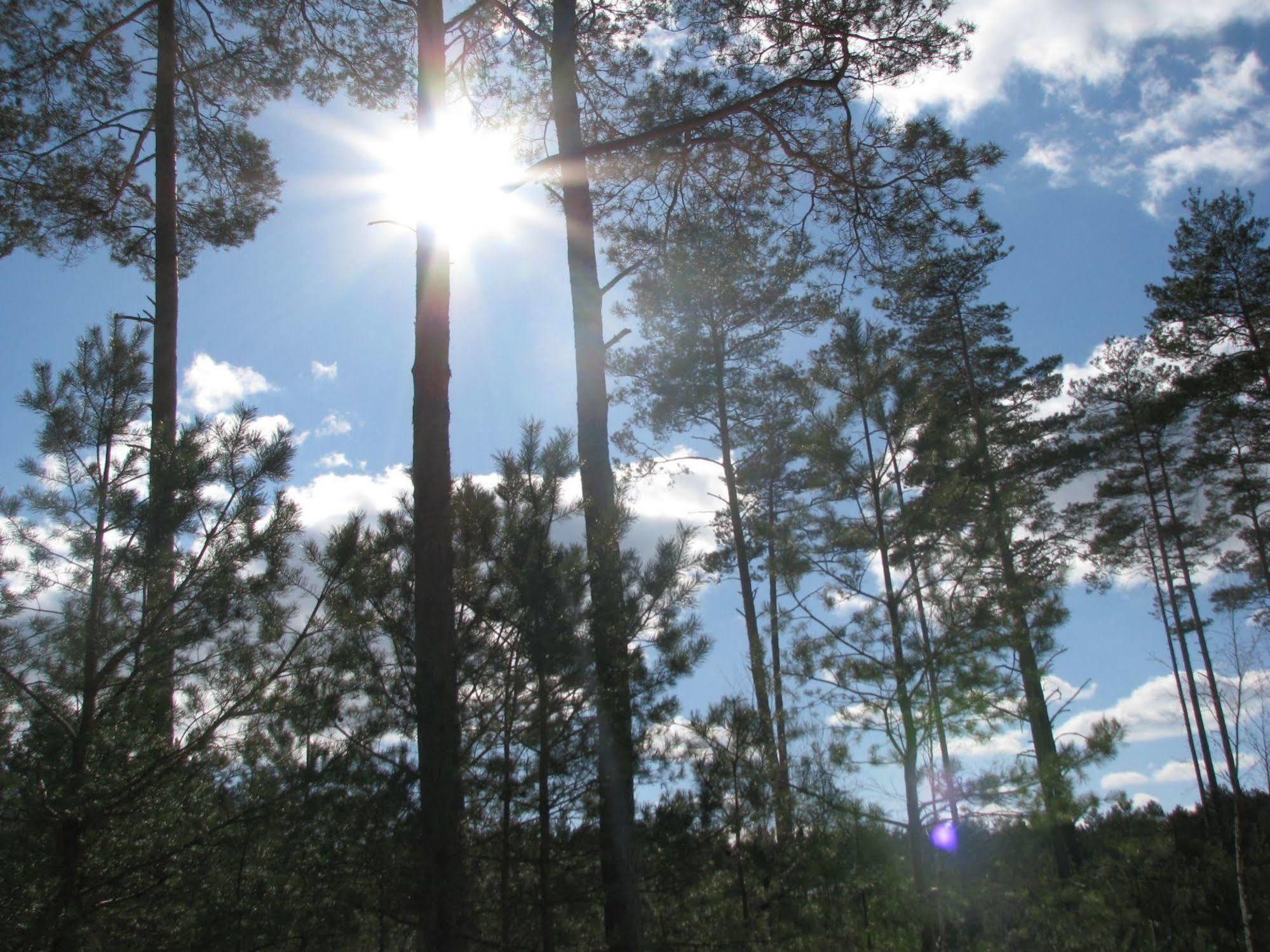 Rezydencja Nad Jeziorem Pestkownica Buitenkant foto