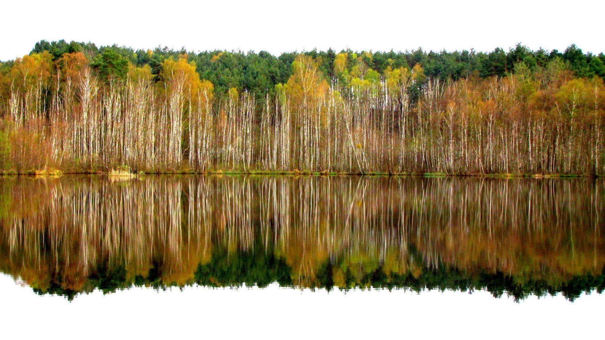 Rezydencja Nad Jeziorem Pestkownica Buitenkant foto